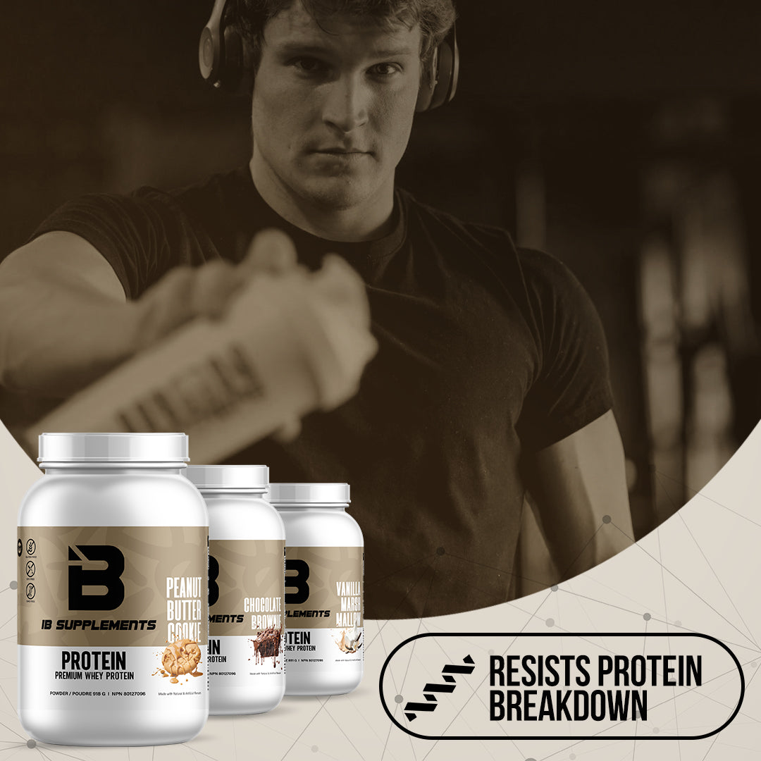 Protein Supplement by Iron Brothers